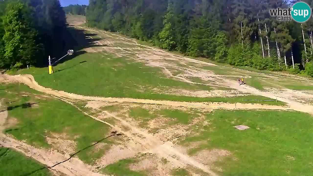 Webcam Pohorje Trikotna Jasa | Poštela