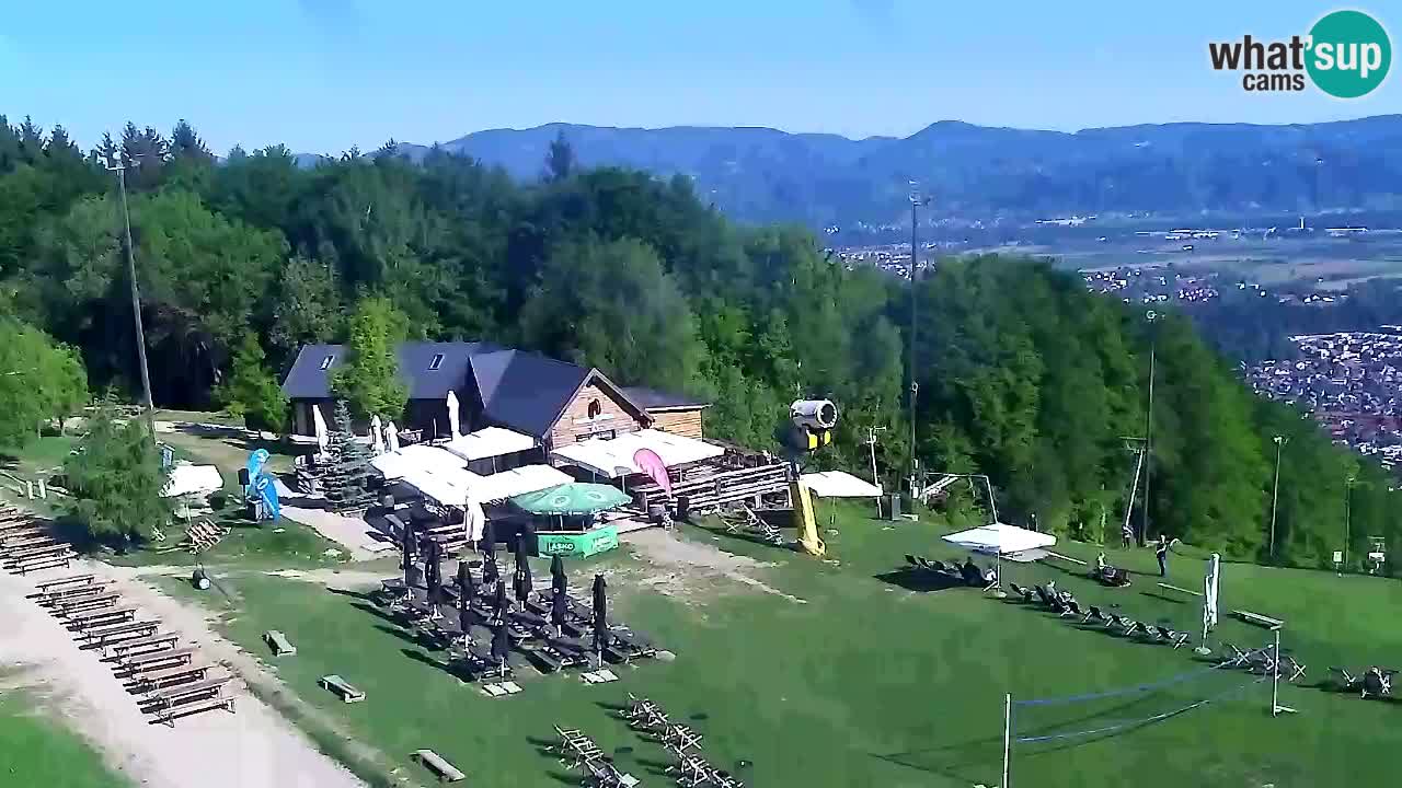 Webcam Pohorje Trikotna Jasa | Poštela