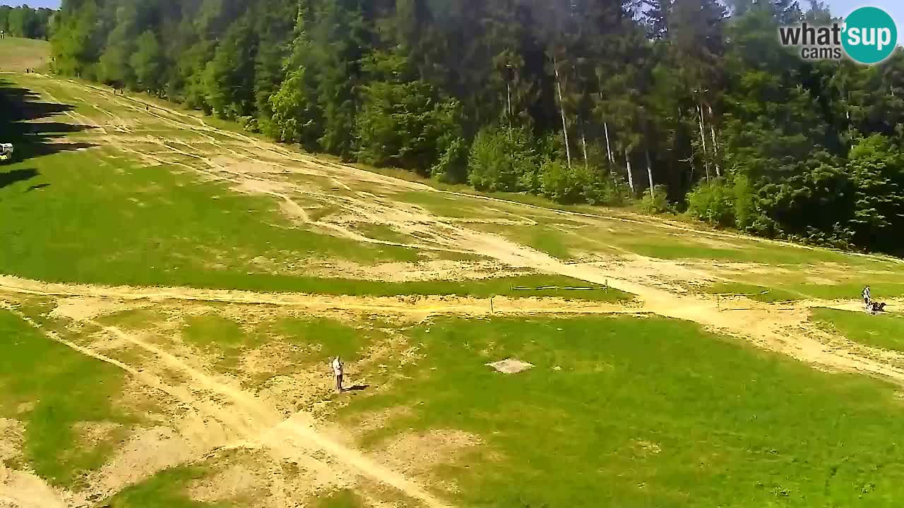 Webcam Pohorje Trikotna Jasa | Poštela