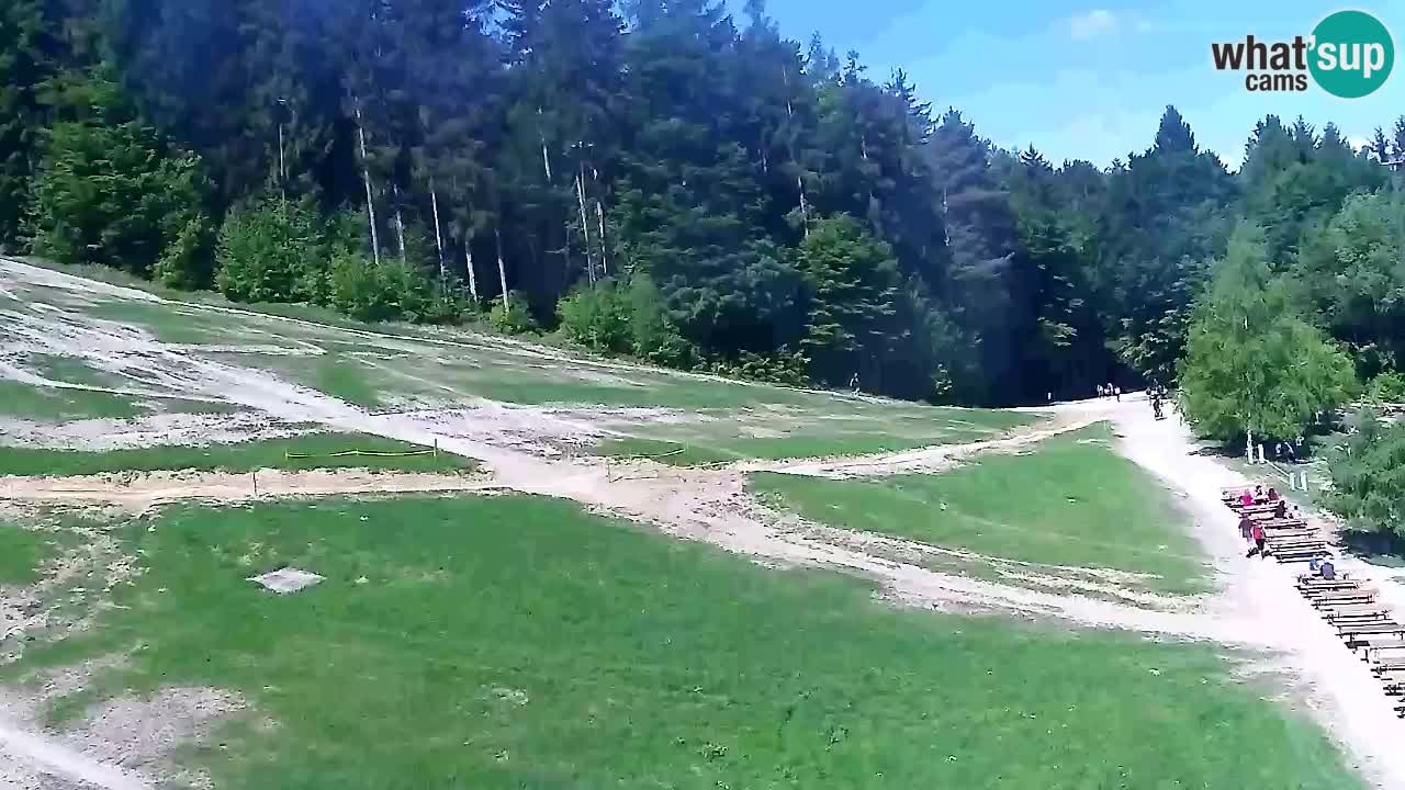 Webcam Pohorje Trikotna Jasa | Poštela