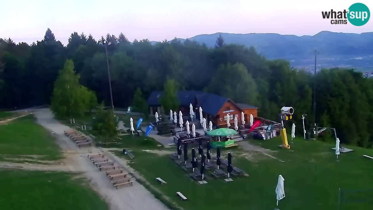 Webcam Pohorje Trikotna Jasa | Poštela