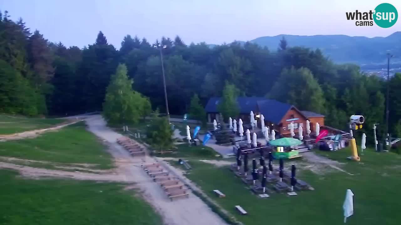 Webcam Pohorje Trikotna Jasa | Poštela