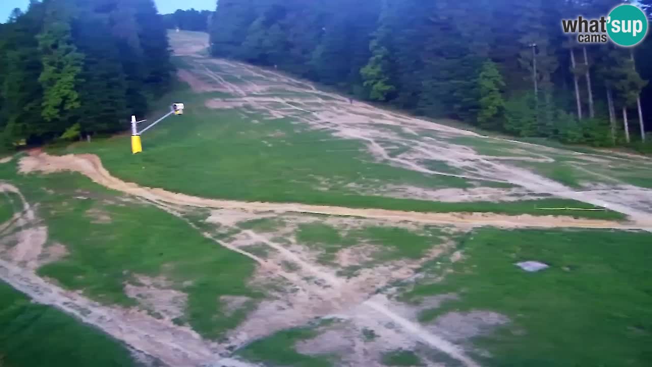 Web kamera Pohorje Trikotna Jasa | Poštela