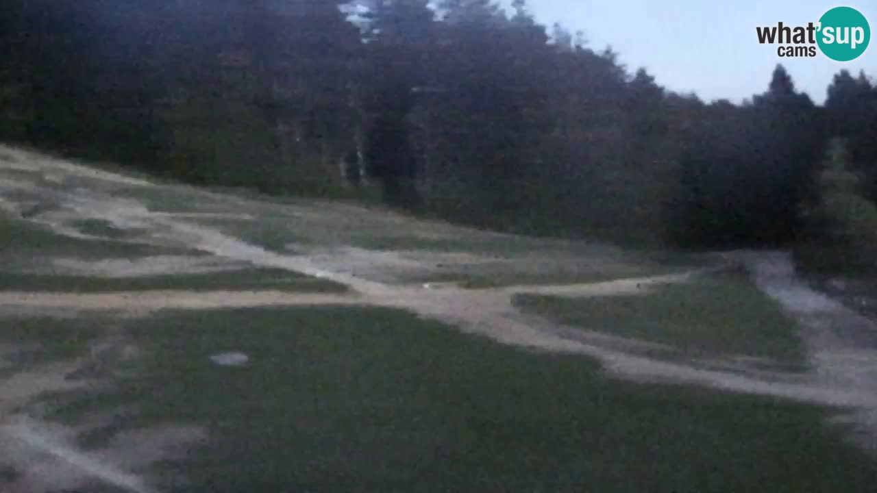 Webcam Pohorje Trikotna Jasa | Poštela