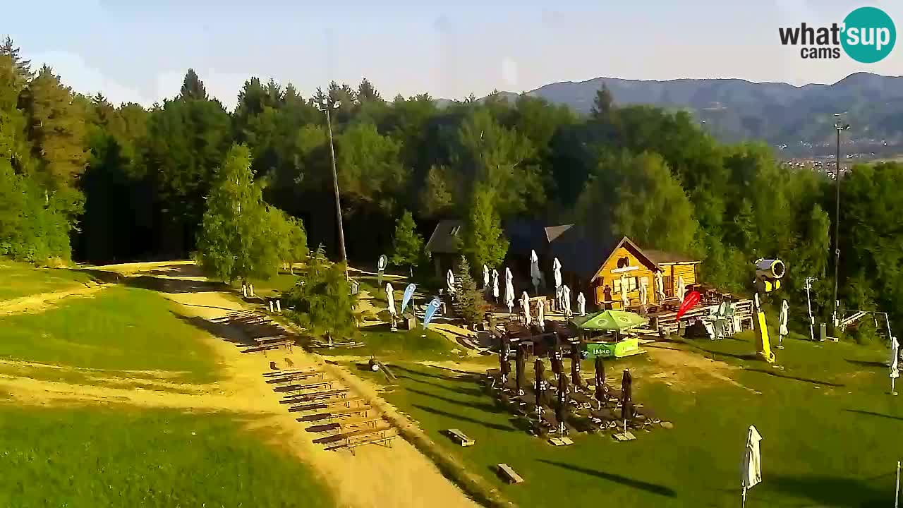 Webcam Pohorje Trikotna Jasa | Poštela