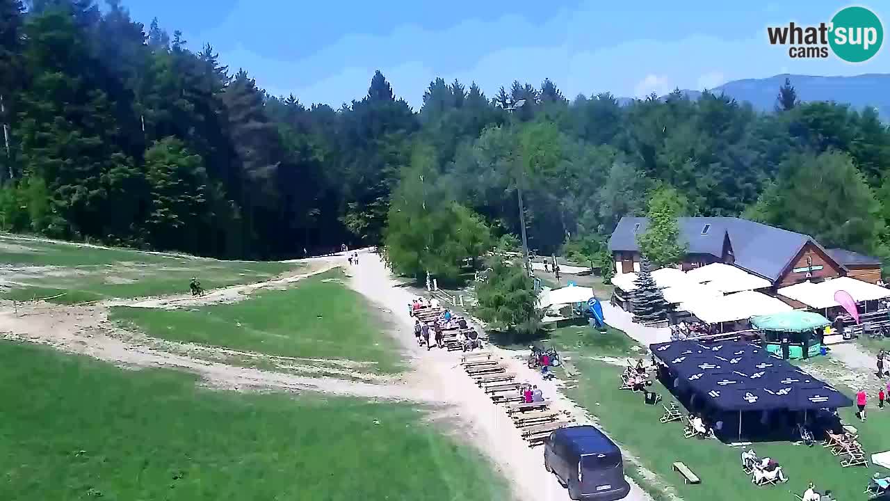 Web Camera Pohorje Trikotna Jasa | Poštela