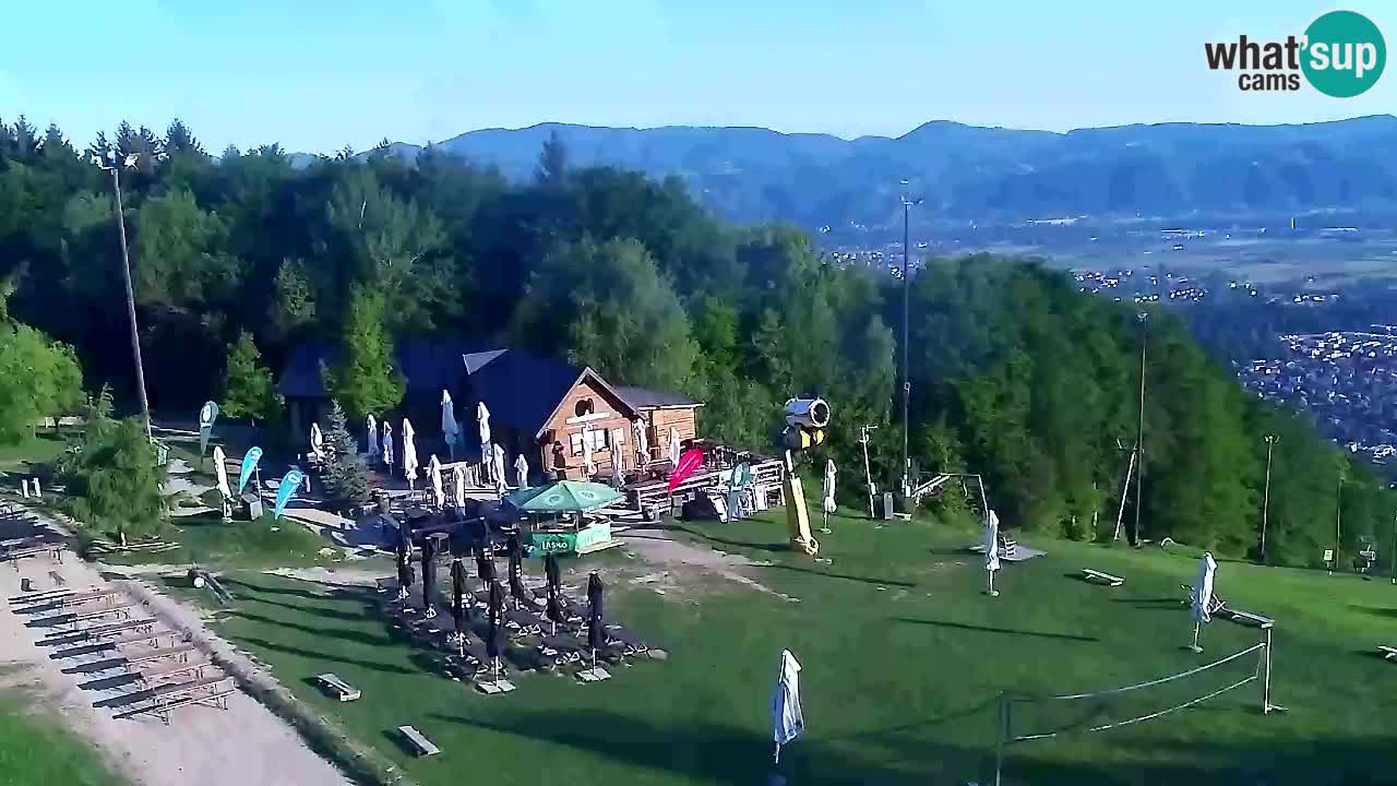 Webcam Pohorje Trikotna Jasa | Poštela