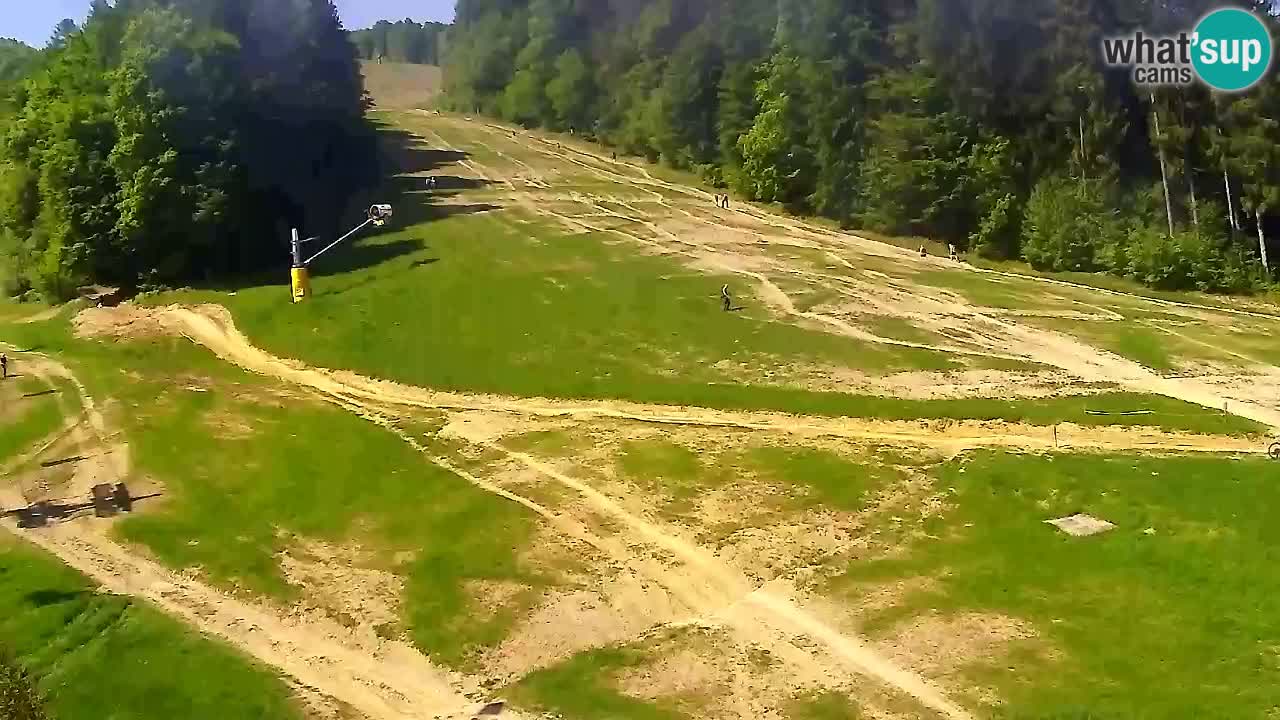 Web Camera Pohorje Trikotna Jasa | Poštela