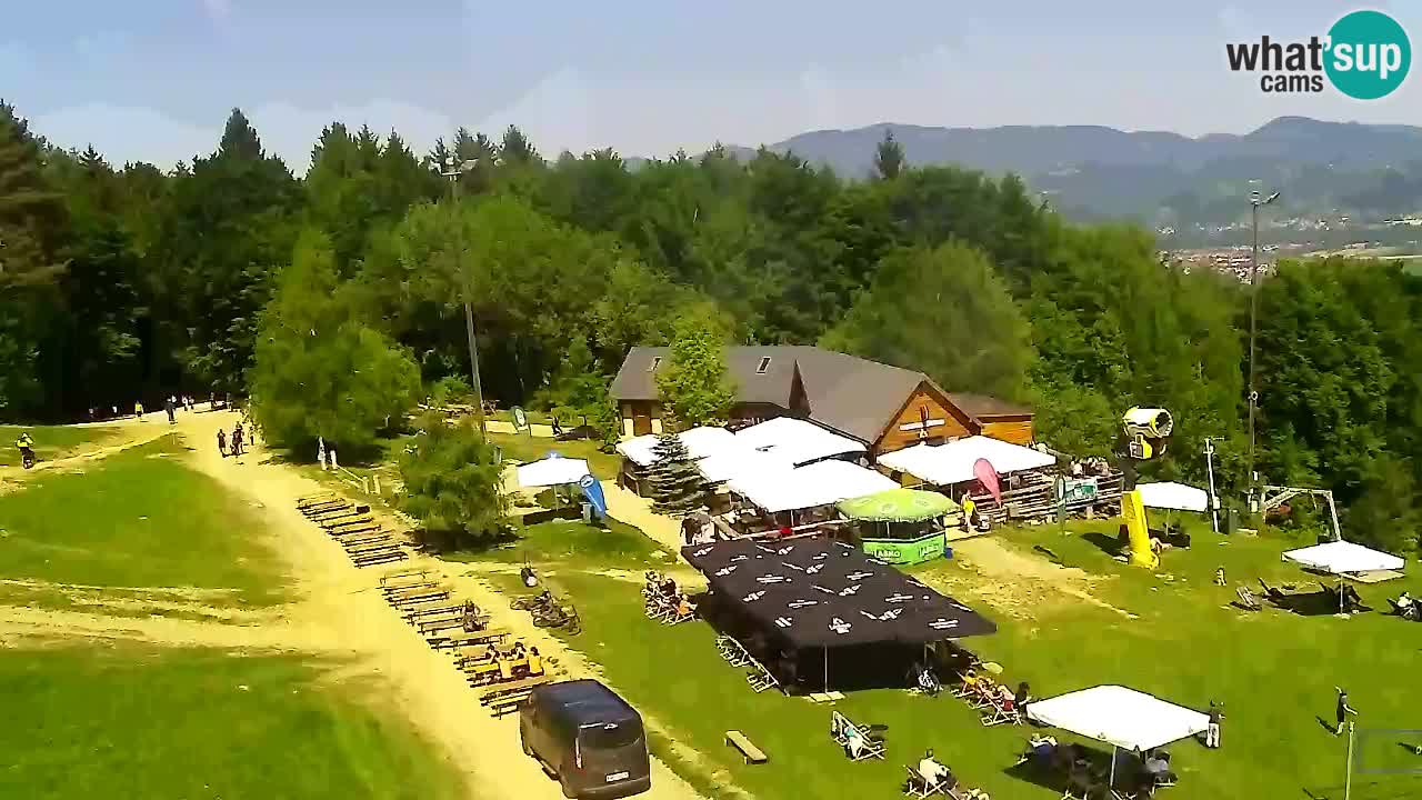 Webcam Pohorje Trikotna Jasa | Poštela