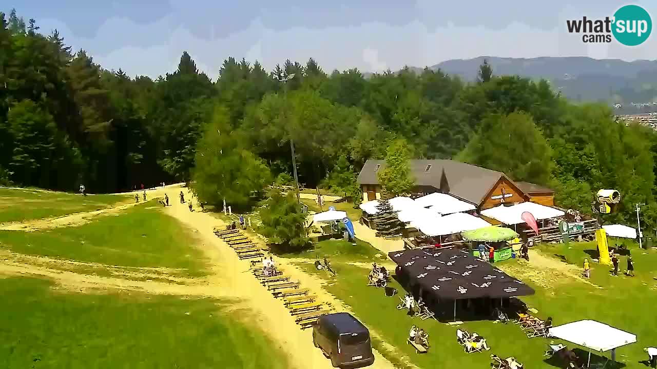 Webcam Pohorje Trikotna Jasa | Poštela