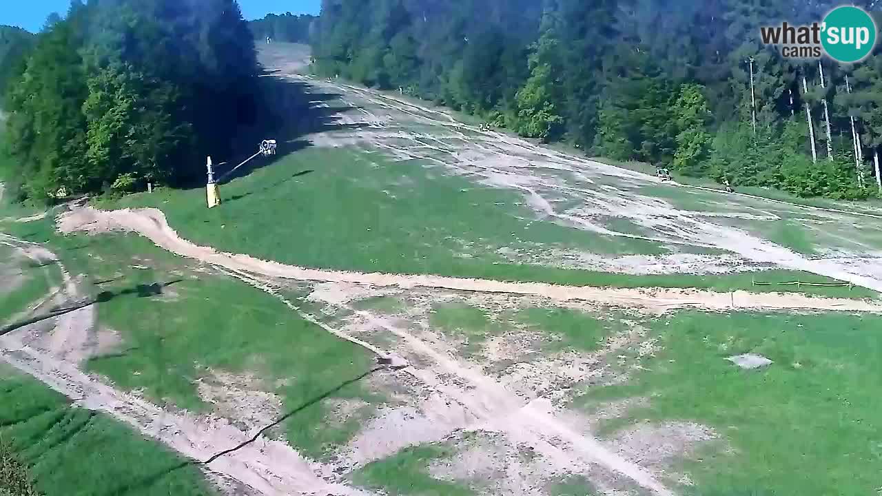 Webcam Pohorje Trikotna Jasa | Poštela