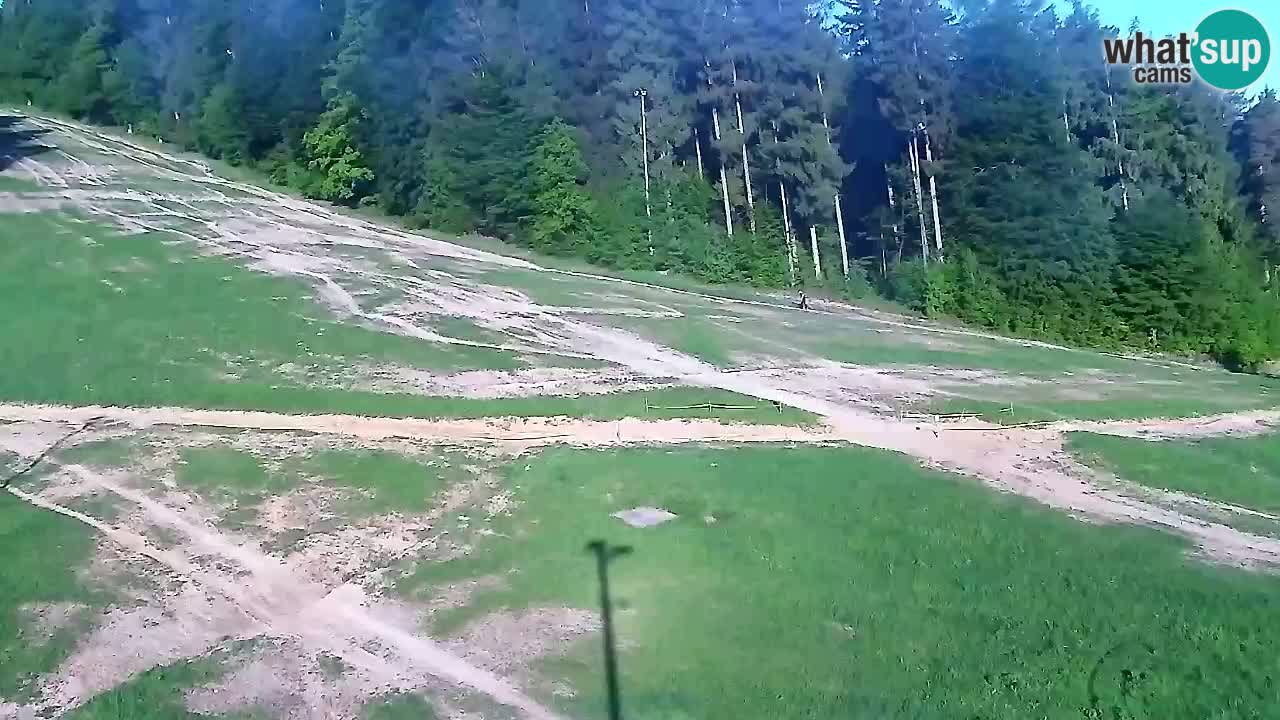 Webcam Pohorje Trikotna Jasa | Poštela