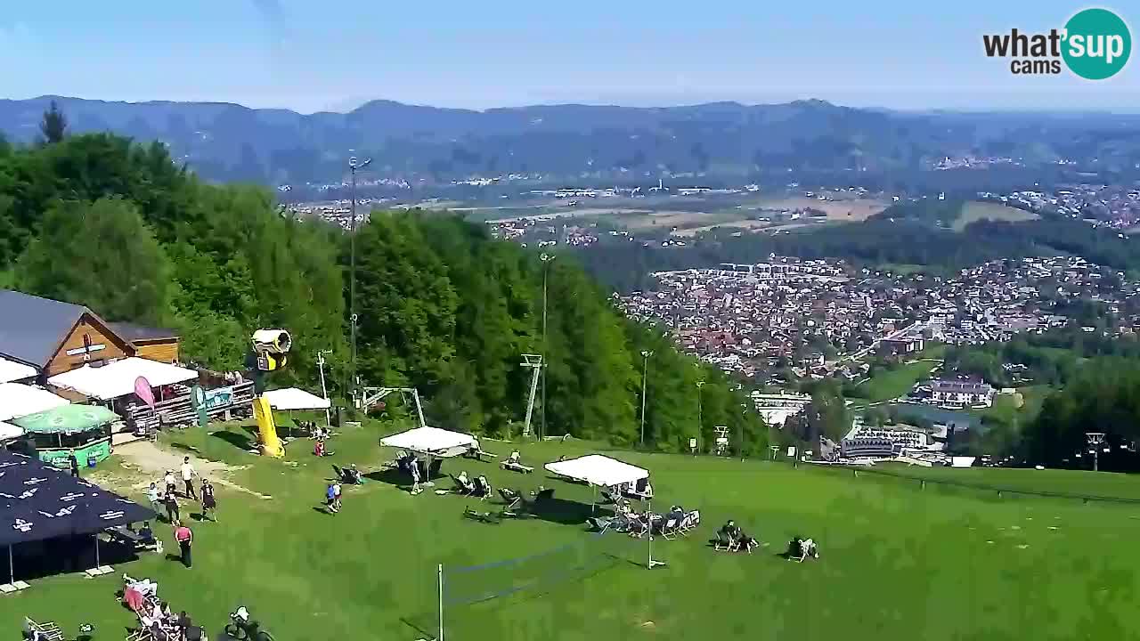 Webcam Pohorje Trikotna Jasa | Poštela
