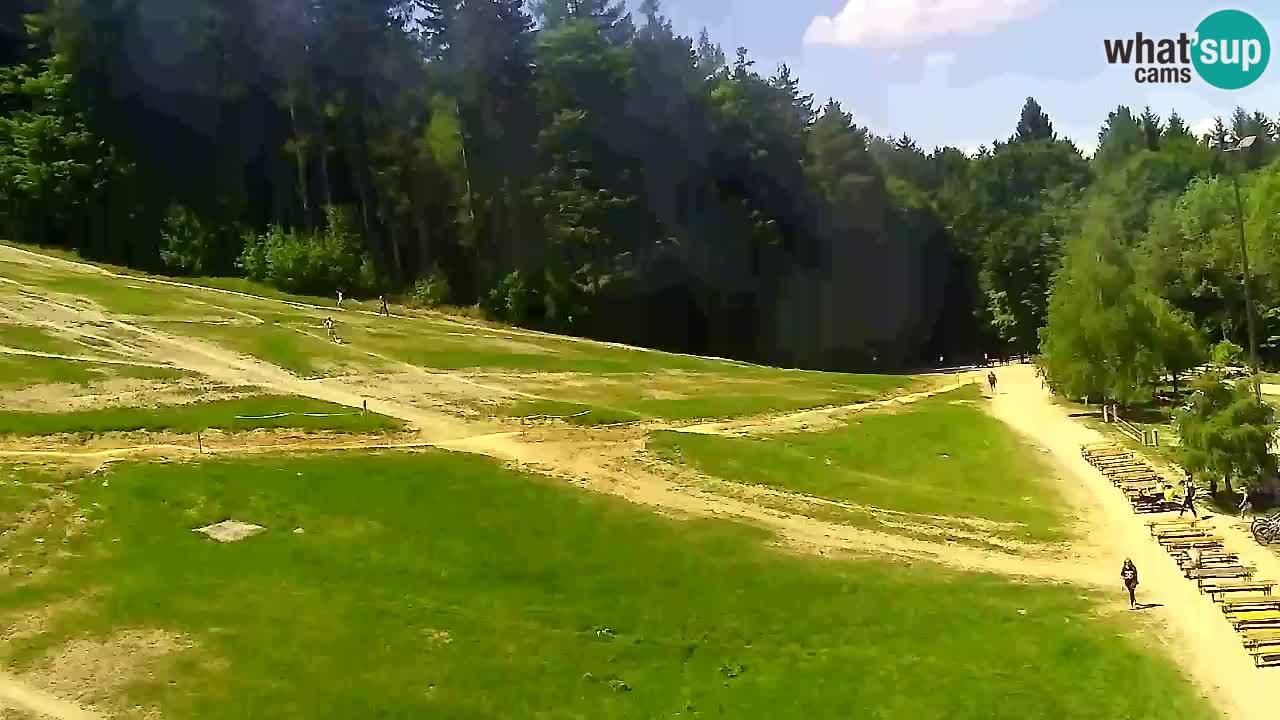 Webcam Pohorje Trikotna Jasa | Poštela