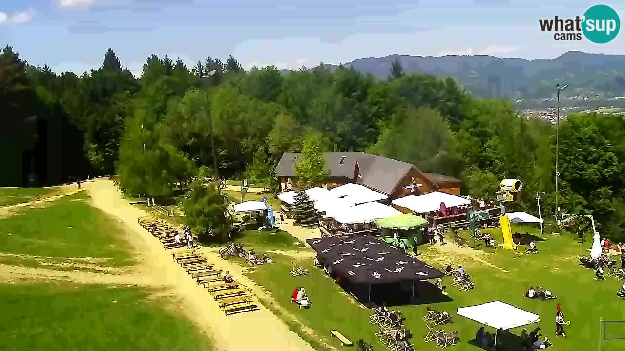 Webcam Pohorje Trikotna Jasa | Poštela