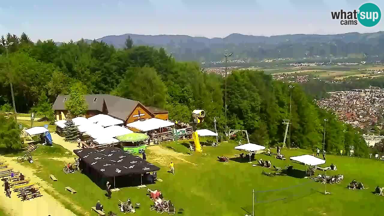 Webcam Pohorje Trikotna Jasa | Poštela