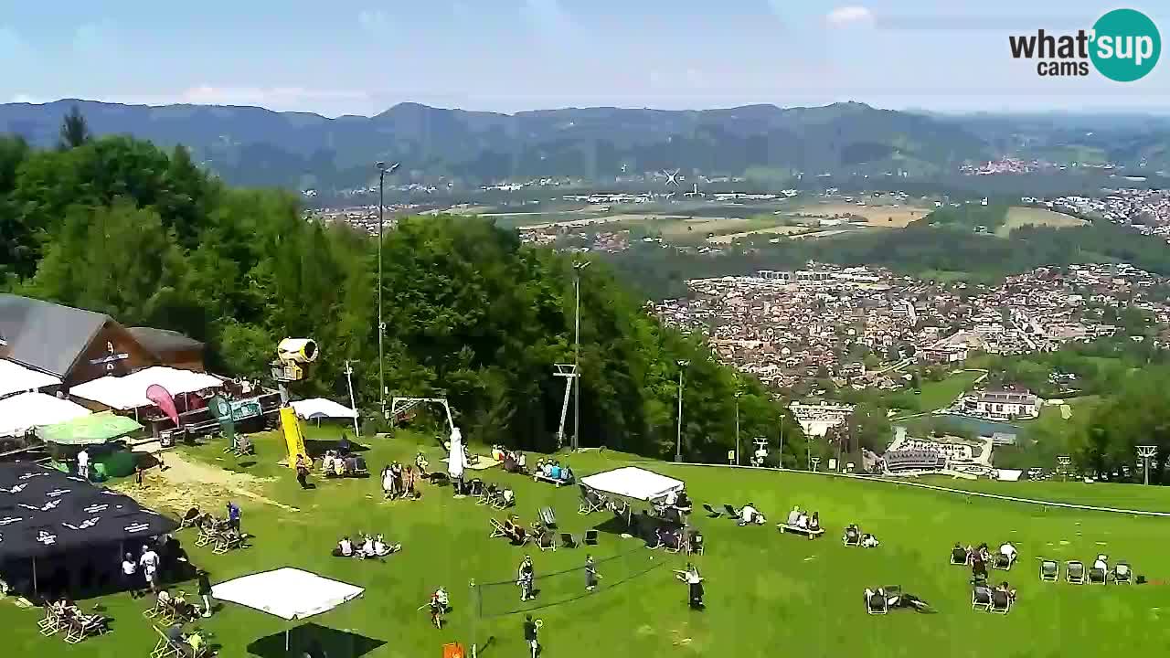Webcam Pohorje Trikotna Jasa | Poštela