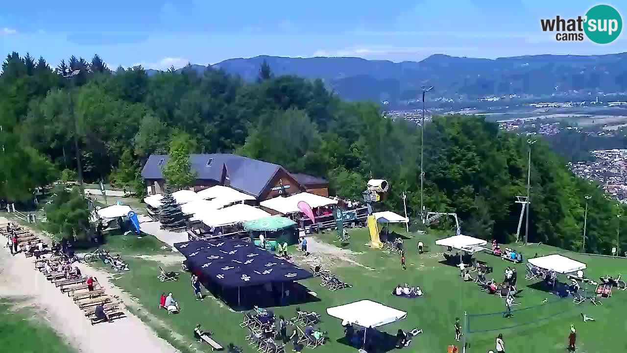 Web Camera Pohorje Trikotna Jasa | Poštela