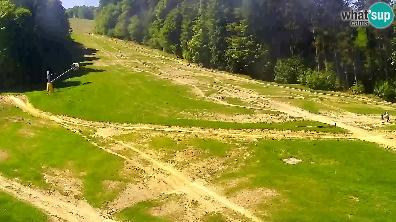 Spletna Kamera Pohorje Trikotna Jasa | Poštela