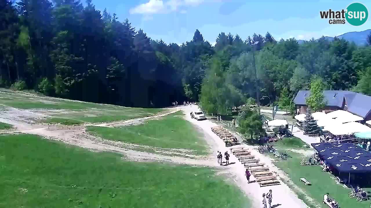 Web Camera Pohorje Trikotna Jasa | Poštela