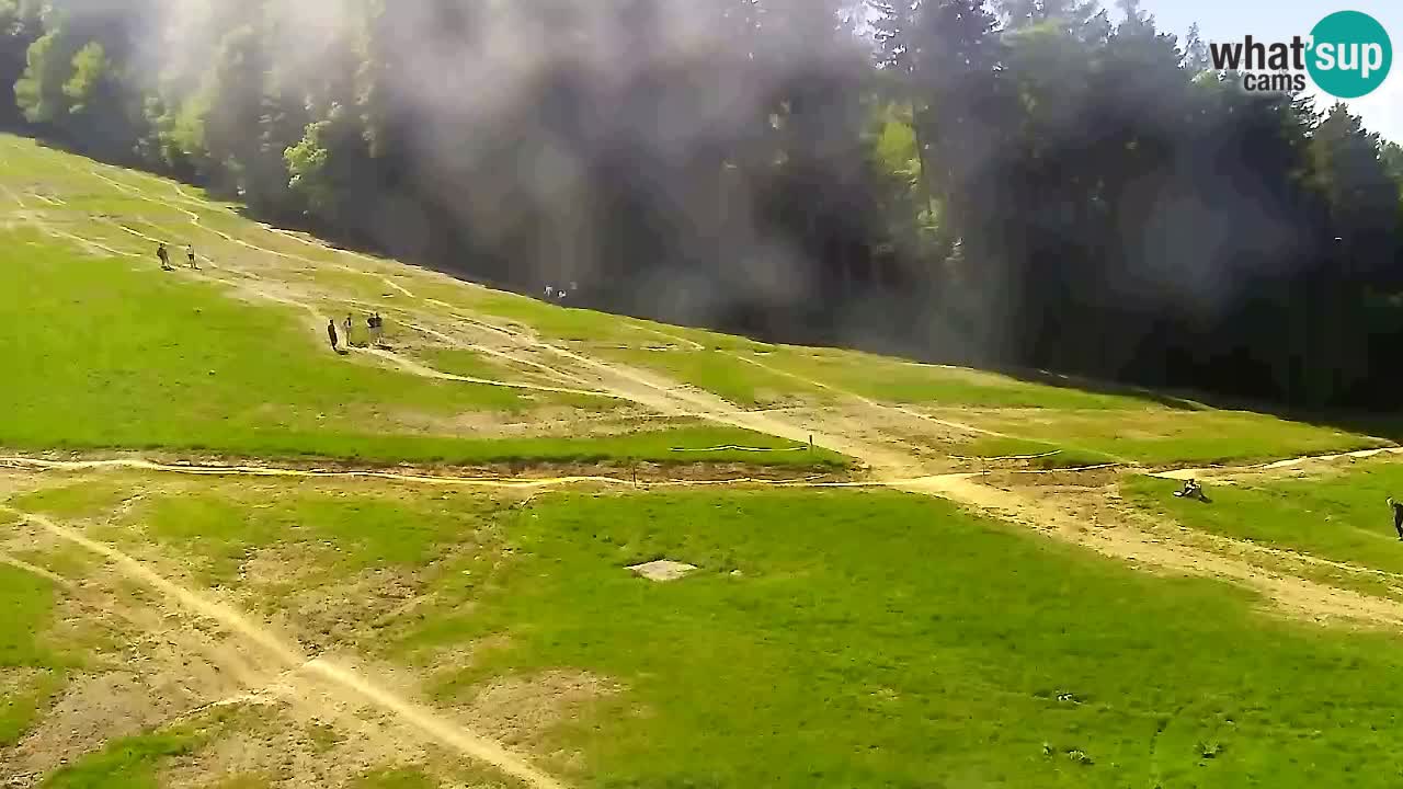 Webcam Pohorje Trikotna Jasa | Poštela