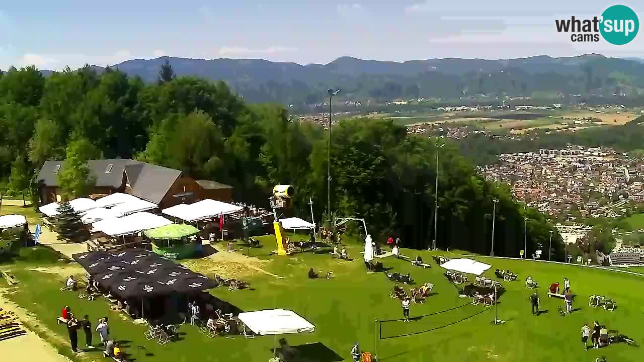 Webcam Pohorje Trikotna Jasa | Poštela