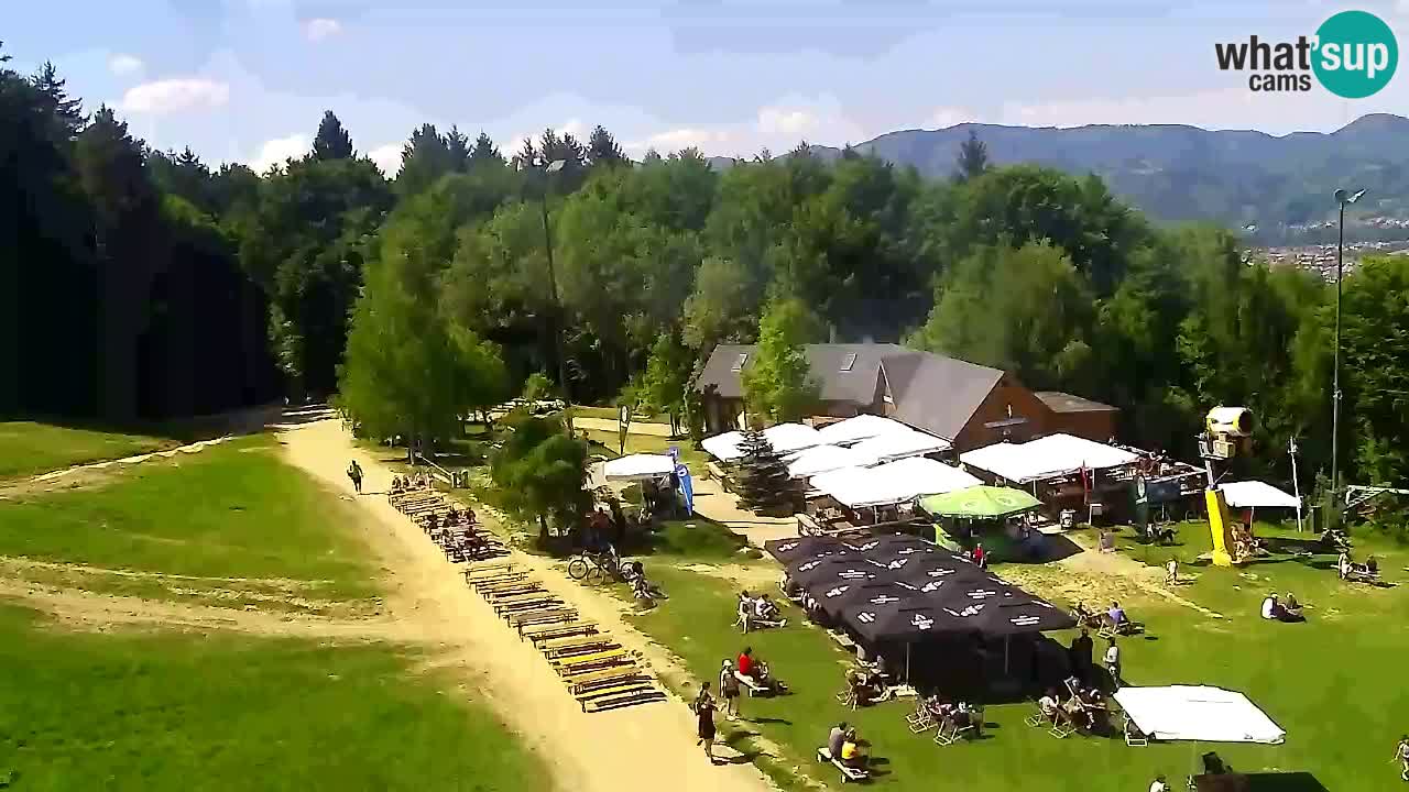 Web Camera Pohorje Trikotna Jasa | Poštela