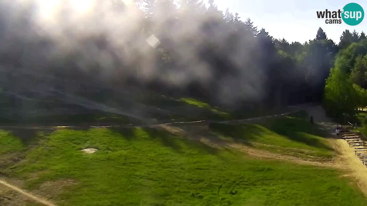 Webcam Pohorje Trikotna Jasa | Poštela