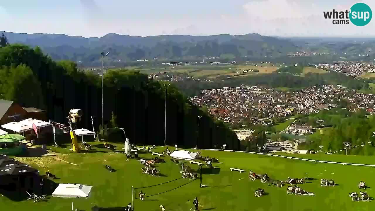 Webcam Pohorje Trikotna Jasa | Poštela