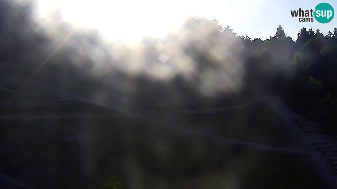 Webcam Pohorje Trikotna Jasa | Poštela
