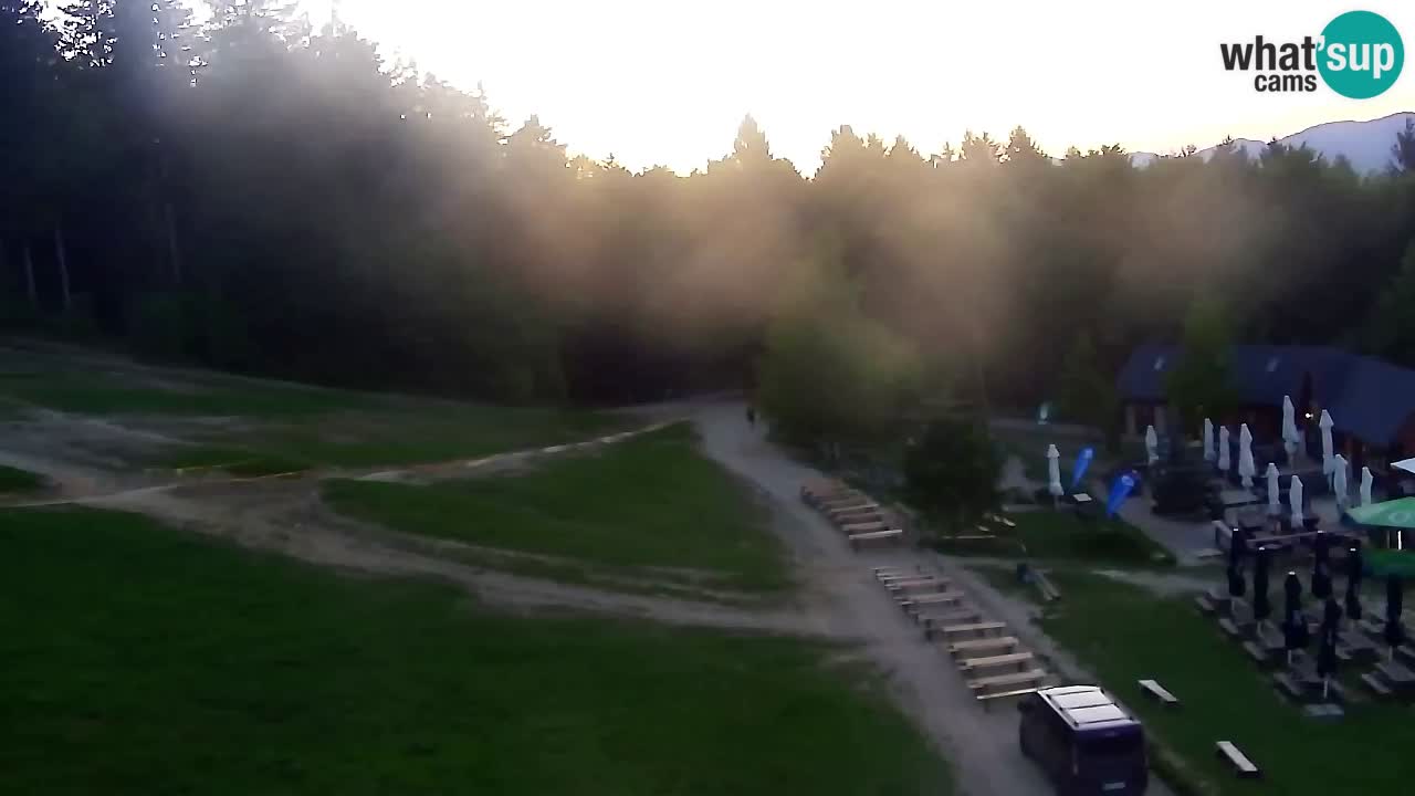 Webcam Pohorje Trikotna Jasa | Poštela