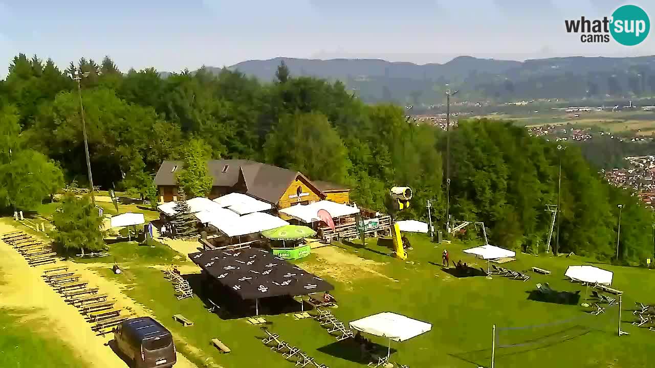 Webcam Pohorje Trikotna Jasa | Poštela