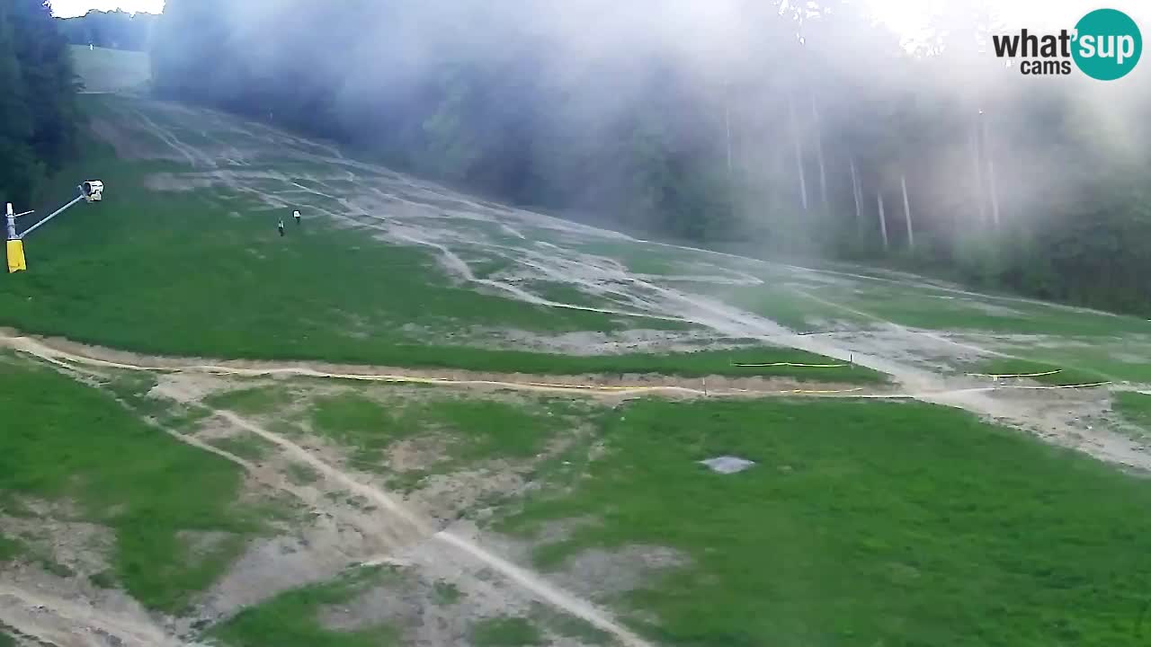 Webcam Pohorje Trikotna Jasa | Poštela
