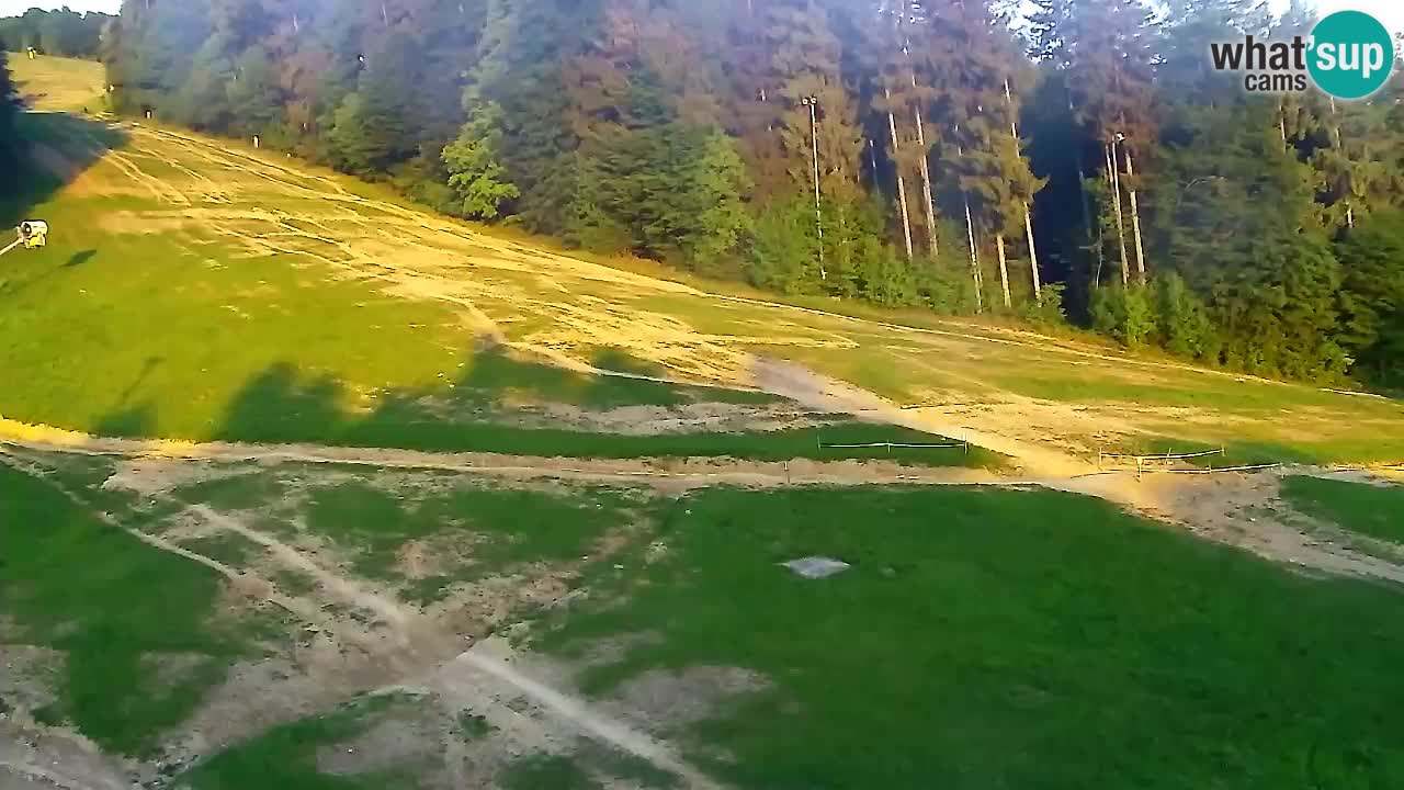 Webcam Pohorje Trikotna Jasa | Poštela