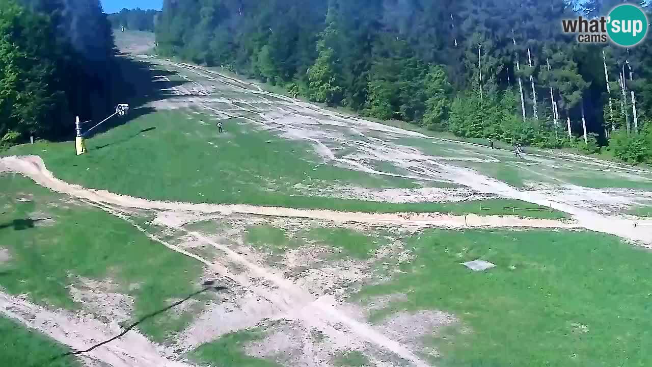 Web Camera Pohorje Trikotna Jasa | Poštela