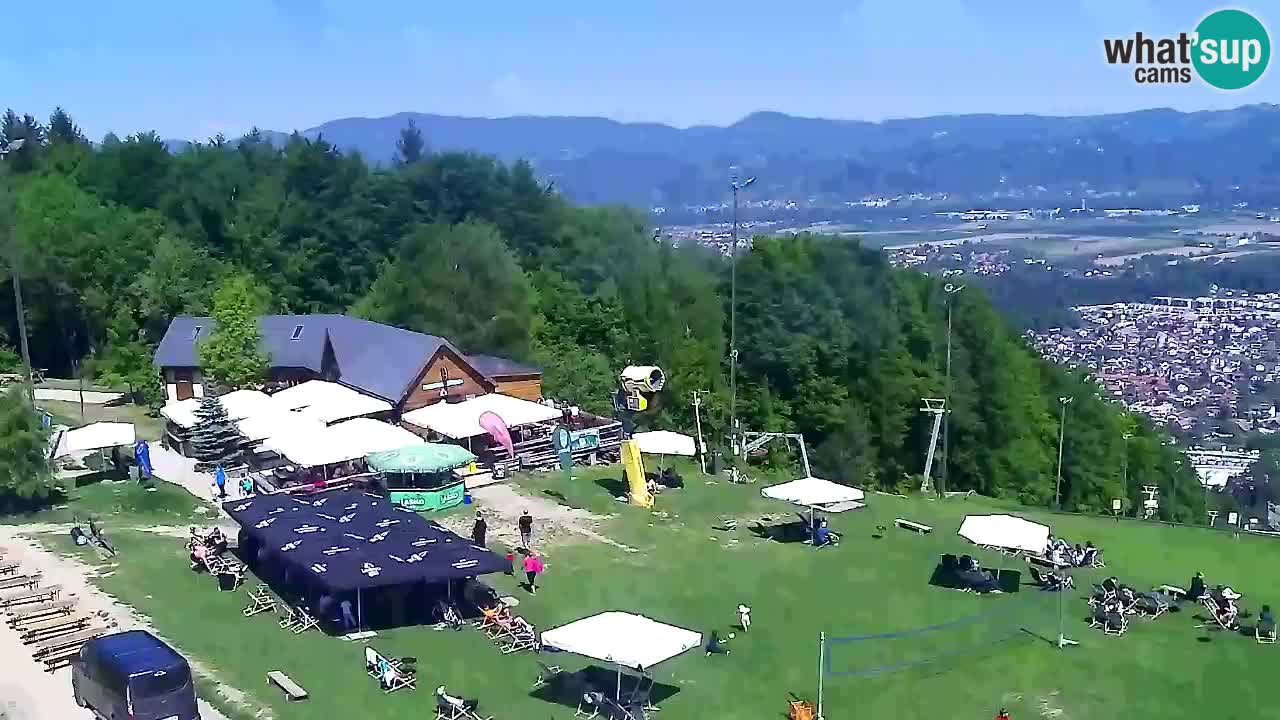 Spletna Kamera Pohorje Trikotna Jasa | Poštela