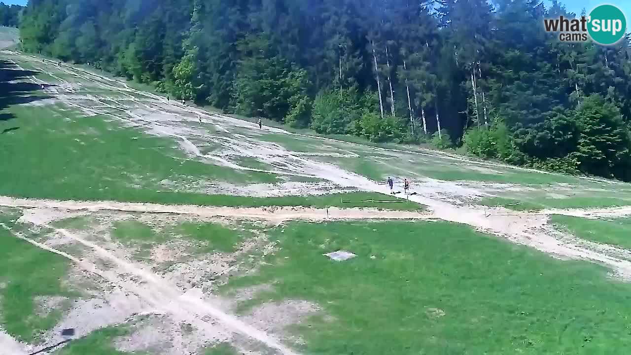 Spletna Kamera Pohorje Trikotna Jasa | Poštela