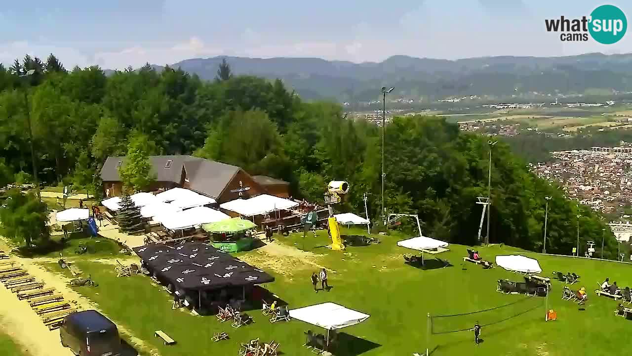 Web Camera Pohorje Trikotna Jasa | Poštela