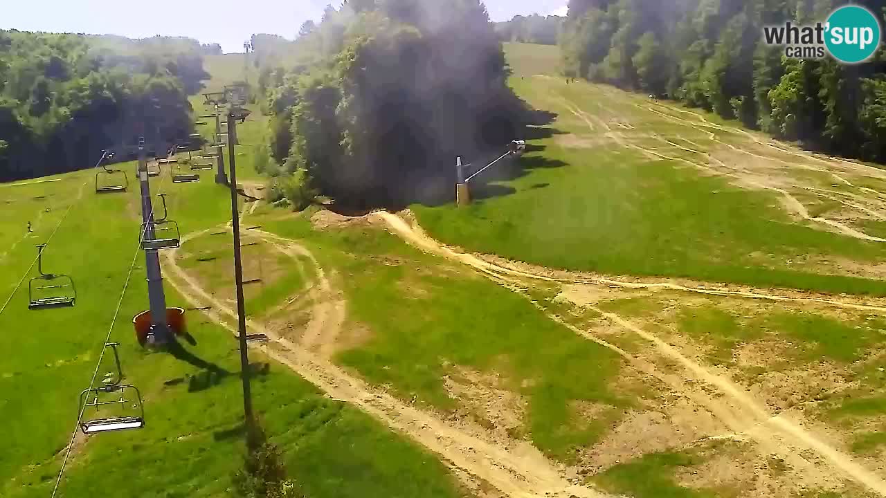 Webcam Pohorje Trikotna Jasa | Poštela