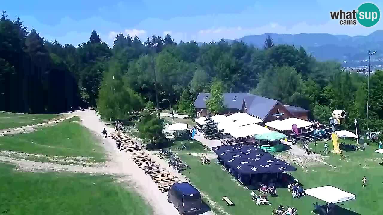 Webcam Pohorje Trikotna Jasa | Poštela