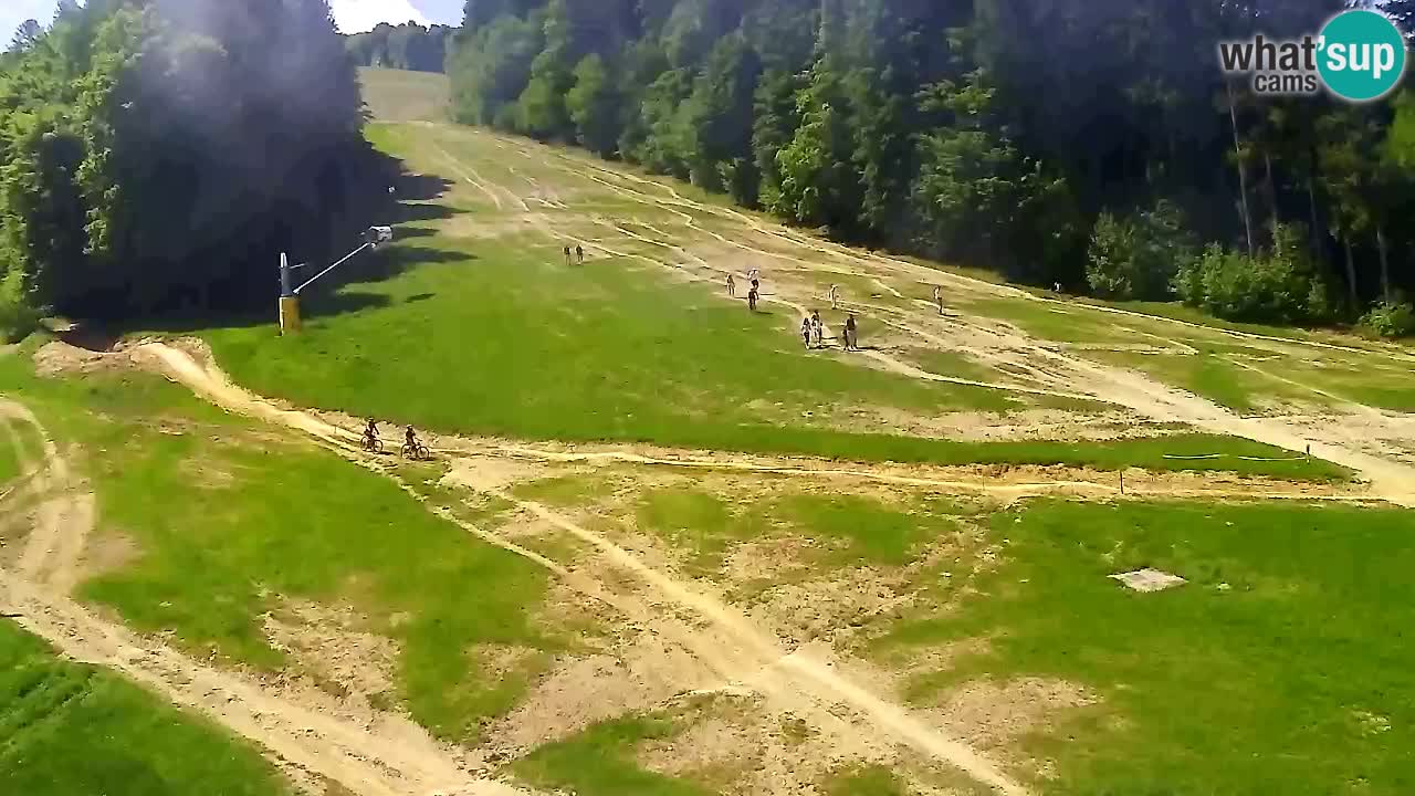 Webcam Pohorje Trikotna Jasa | Poštela