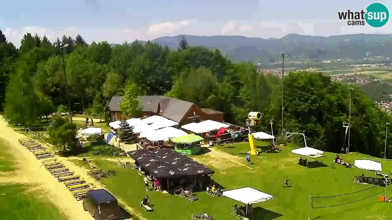 Webcam Pohorje Trikotna Jasa | Poštela