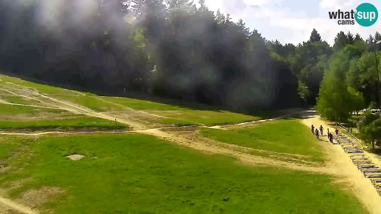 Webcam Pohorje Trikotna Jasa | Poštela