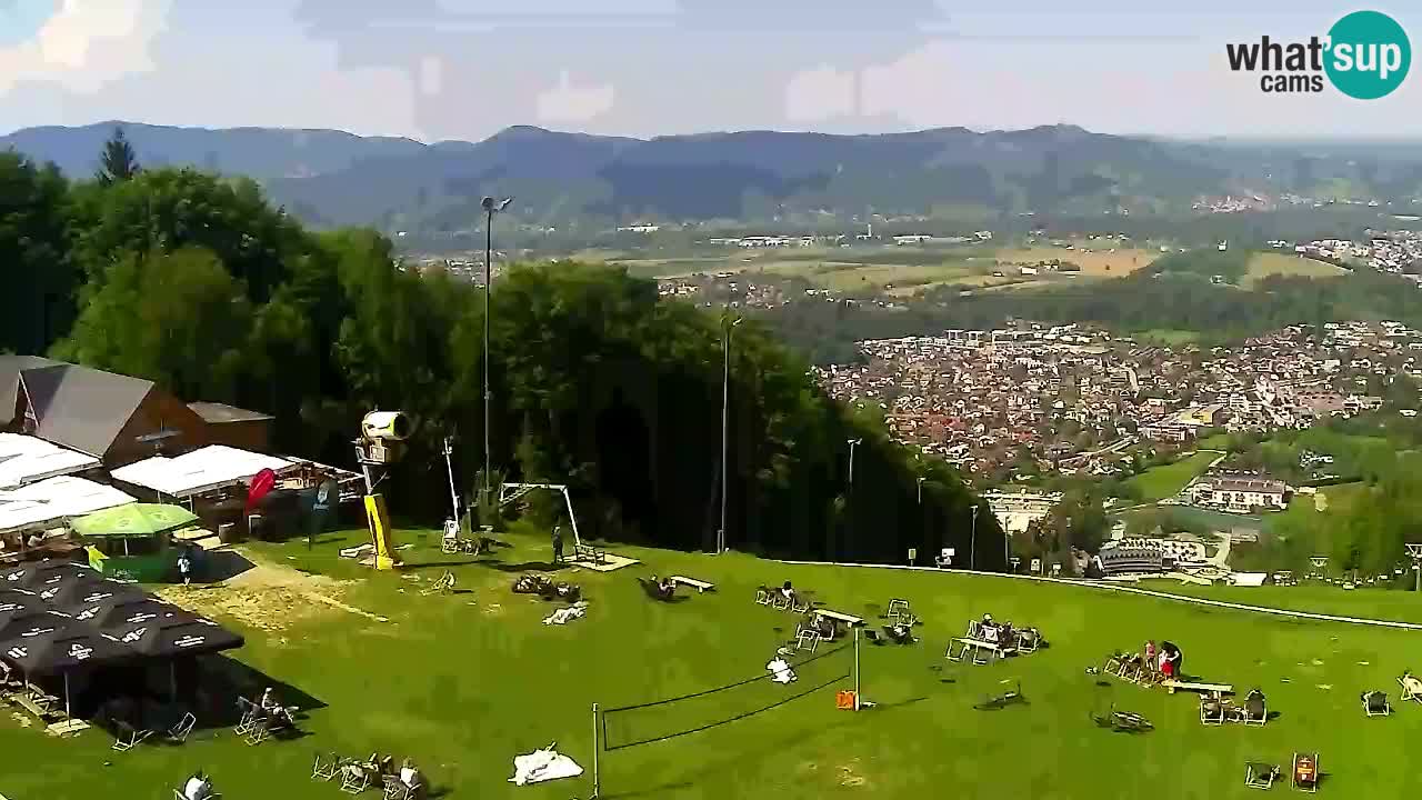 Webcam Pohorje Trikotna Jasa | Poštela