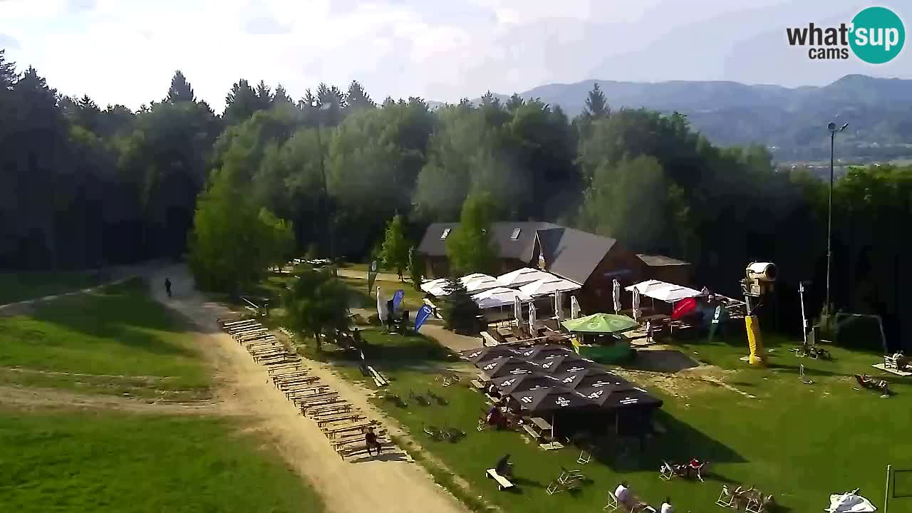 Webcam Pohorje Trikotna Jasa | Poštela