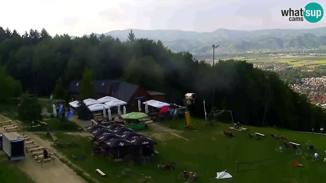 Webcam Pohorje Trikotna Jasa | Poštela