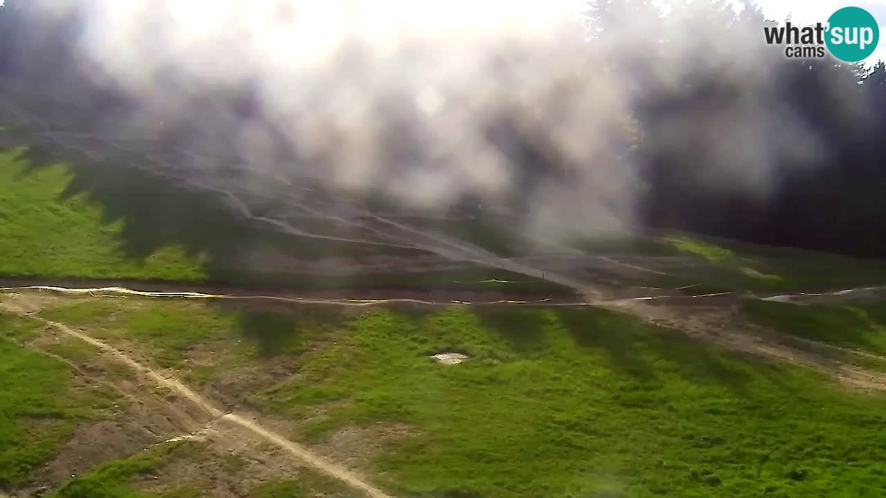 Webcam Pohorje Trikotna Jasa | Poštela