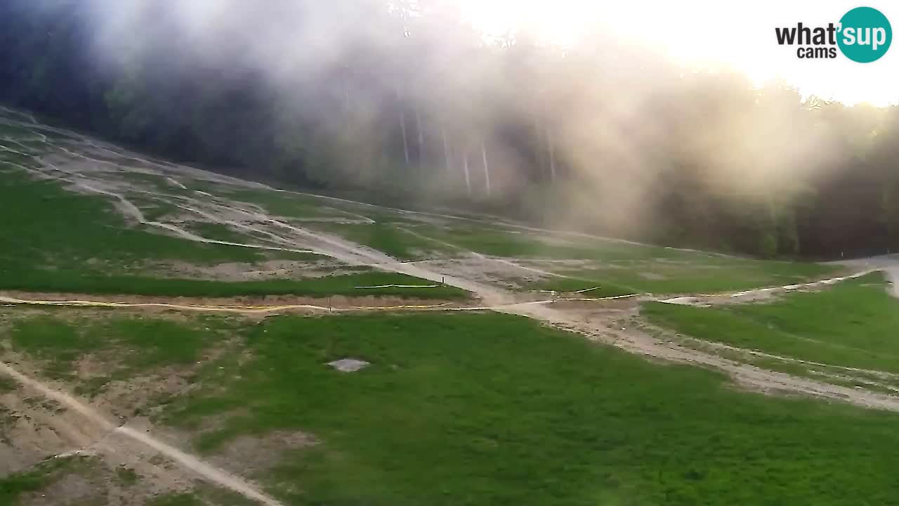 Webcam Pohorje Trikotna Jasa | Poštela