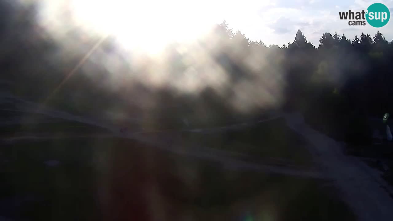 Webcam Pohorje Trikotna Jasa | Poštela