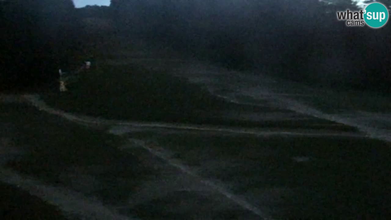 Webcam Pohorje Trikotna Jasa | Poštela